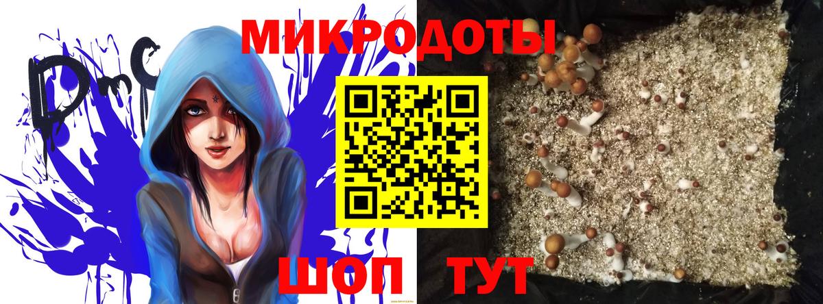 Псилоцибиновые грибы MAGIC MUSHROOMS  закладка  Барнаул  Вход с VPN 